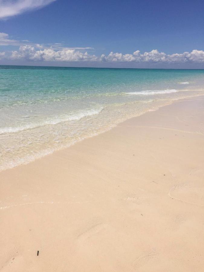 Villa Thamani fronte mare direttamente sulla spiaggia con piscina privata! Pwani Mchangani Esterno foto