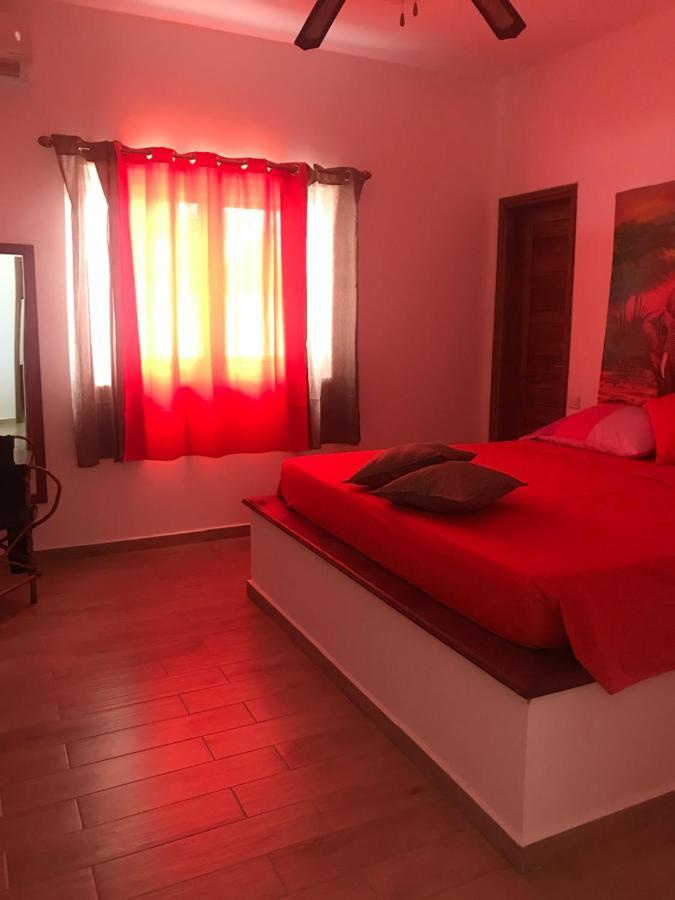 Villa Thamani fronte mare direttamente sulla spiaggia con piscina privata! Pwani Mchangani Esterno foto